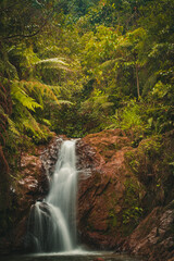 Fototapeta na wymiar waterfall in the mountains