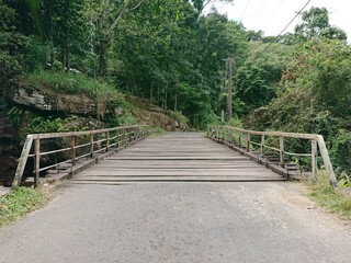 wooden bridge in the woods