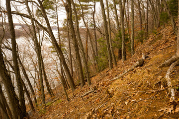 Glacial moraine of Balf Bluff in Glastonbury, Connecticut.
