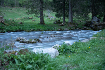 Flowing blurred water in a small river