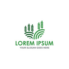 farm wheat vector , agriculture logo