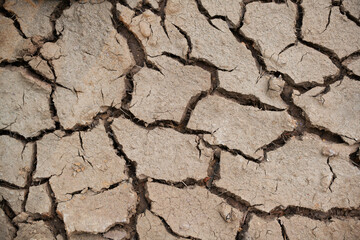 dry earth with cracks top view