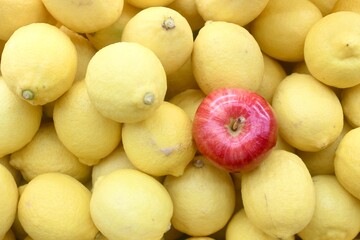 yellow lemon and red apple