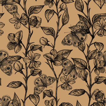 seamless beautiful pattern with butterflies and sakura branches, hand-drawn outline stroke pattern on a brown natural background,pencil drawing