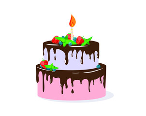 A two-tier cake with a candle and berries. Chocolate, mint leaves. Birthday cake