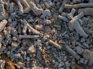 Coral reef surface on the earth ground