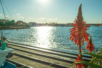 bridge over the river