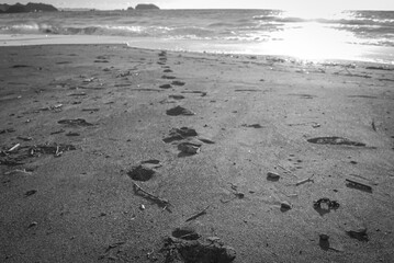 footprints on the beach