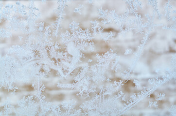 frost patterns on the glass