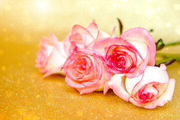 Fototapeta premium Pink rose on a shiny gold background 