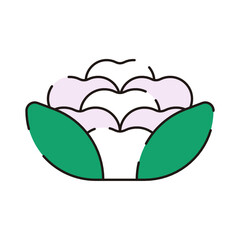 Vegetable Icon. Cauliflower Icon.