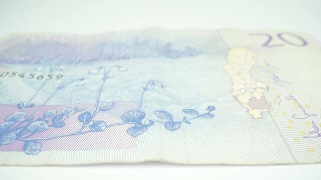 The look of the back of the 20 Krona bill with the flowers as the image