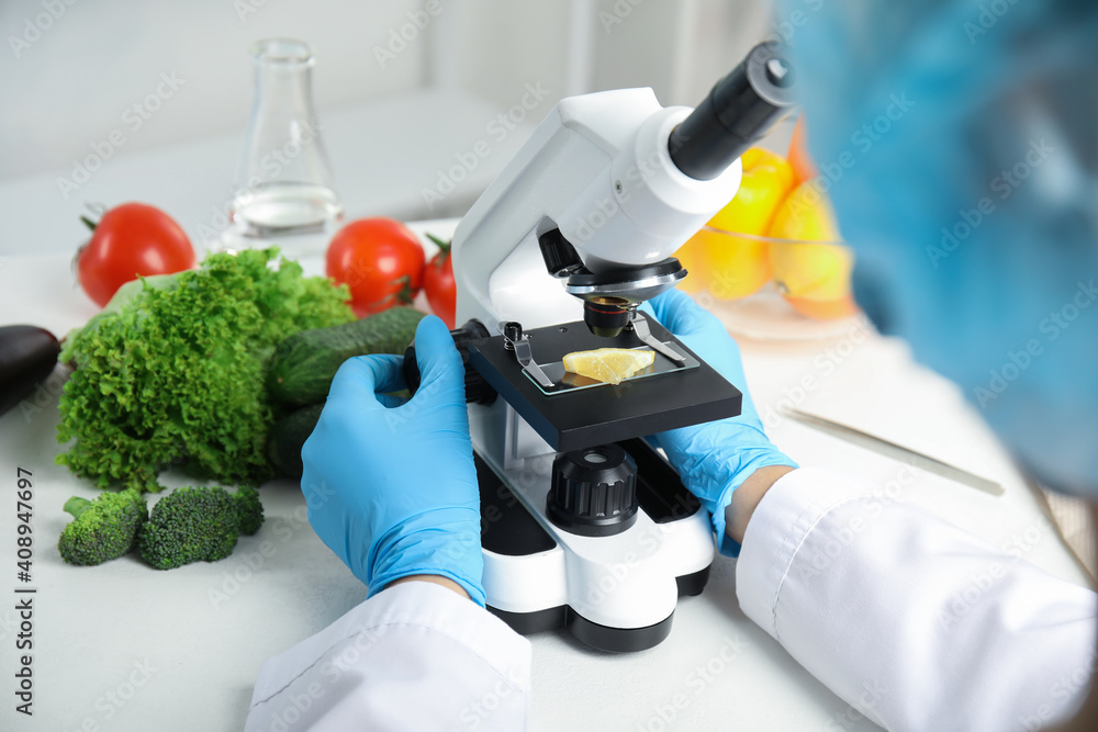 Wall mural scientist inspecting slice of lemon with microscope in laboratory, closeup. poison detection