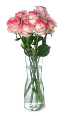 Glass vase with beautiful pink roses isolated on white