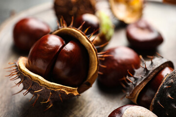 Horse chestnuts on wooden table, closeup view