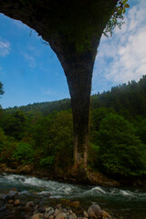 Şenyuva Bridge is an arch bridge located in Çamlıhemşin district of Rize. The bridge is 40...