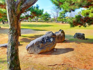 Fototapeta premium よく晴れた日の日本庭園の庭石の風景