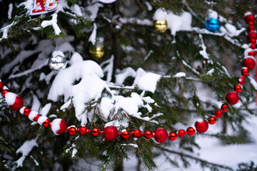 Red Christmas beads and Christmas tree toys decorate the tree branch.