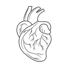 Heart vector Line art black and white illustration, isolated linear style pictogram