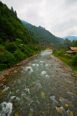 Şenyuva Bridge is an arch bridge located in Çamlıhemşin district of Rize. The bridge is 40...