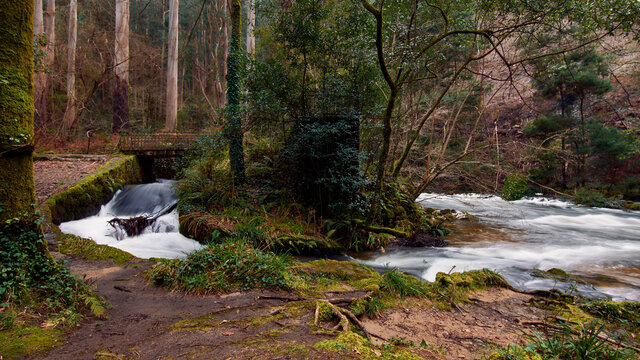 R&iacute;o Landro