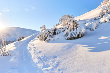 Fototapeta na wymiar Snowy country road in the mountains. Winter in Carpathian Mountains. Snow and sun