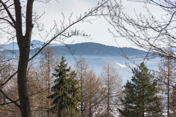 Winter landscape of Beskid mountains