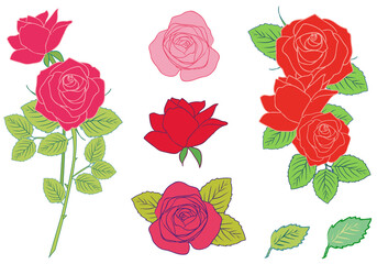 薔薇の花・手描きイラストバリエーションセット