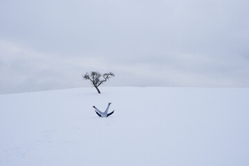 tree and parson with snow