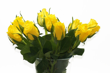 Gelber Strauß Rosen freigestellt auf weißem Hintergrund