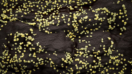 Multiplication of the corona virus under the microscope