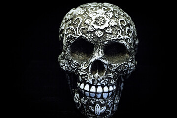 False bone skull on black background