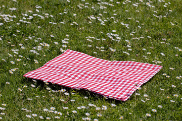 Red picnic blanket. Red checkered picnic cloth on a flowering meadow with daisy flowers. Beautiful backdrop for your product placement or montage.