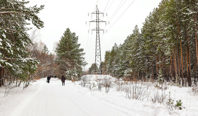 People walk along a wide forest road. Walk in the winter park. Beautiful bright winter landscape. Place for text. Winter season concept.