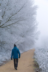 Winter scene with a man walking in a dirt road and a row of rime covered trees in fog