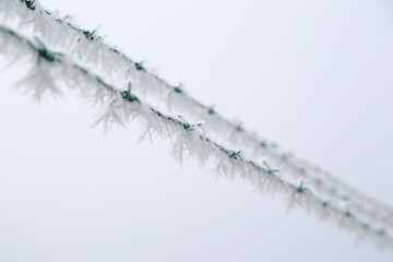 Frozen metal fence covered with frost crystals