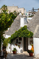 Fototapeta premium Tradtional white houses in Trulli village. Alberobello, Italy. The style of construction is specific to the Murge area of the Italian region of Apulia (in Italian Puglia). 
