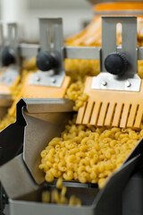 Pasta producing process, various types of pasta on conveyor belt