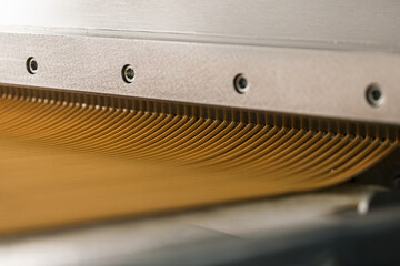 Crunchy bread sticks on conveyor belt at manufacture