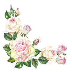 bouquet of roses on white.watercolor flowers