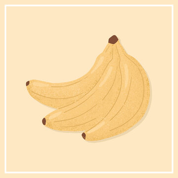 Ripe Banana. Sweet banana fruits vector hand drawn illustration on yellow background.