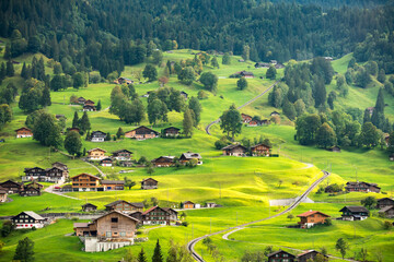 Fototapeta na wymiar The hillside on the back of Grindelwald