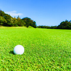 ゴルフ　ボール　golf