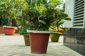 Small and big and many type of water pot on the floor