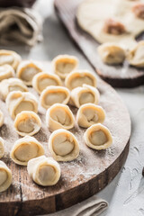 The process of cooking dumplings of Russian and Ukrainian national food. A lot of ready-to-cook pork dumplings on a large wooden board with flour.