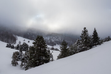 Snowy mountain landscapes, monochrome color, Vercors, France