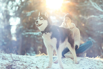 guy with a dog walks in the winter forest, sunny Christmas landscape, friends in nature in the park man and dog