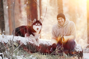 guy with a dog walks in the winter forest, sunny Christmas landscape, friends in nature in the park...