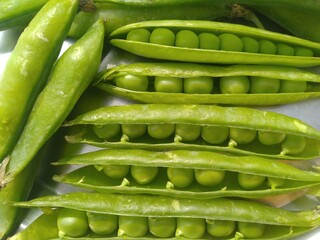 Green Small Peas in the shell