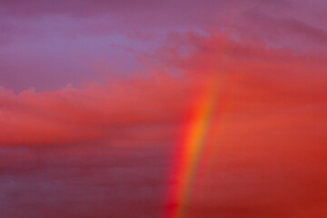 Fototapeta premium Regenbogen